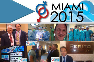 IV Congress of Medical Sexology