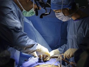 trapianto pene - antonini urology