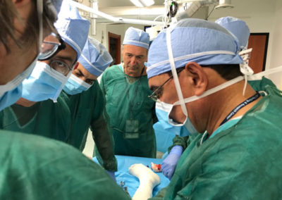 Cadaver Lab Training of Penile Prosthesis Implant Dott. Gabriele Antonini 4 1