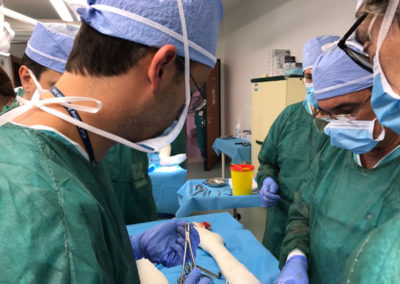Cadaver Lab Training of Penile Prosthesis Implant Dott. Gabriele Antonini 5 1