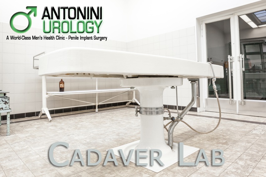 cadaver lab Antonini Urology