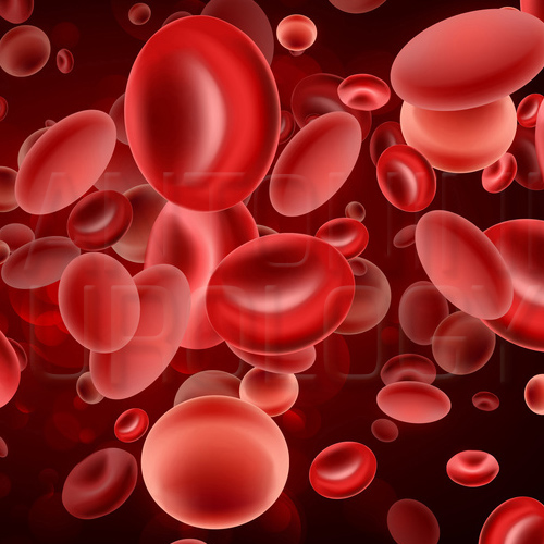 PRP – Plasmacellule arricchite per la disfunzione erettile